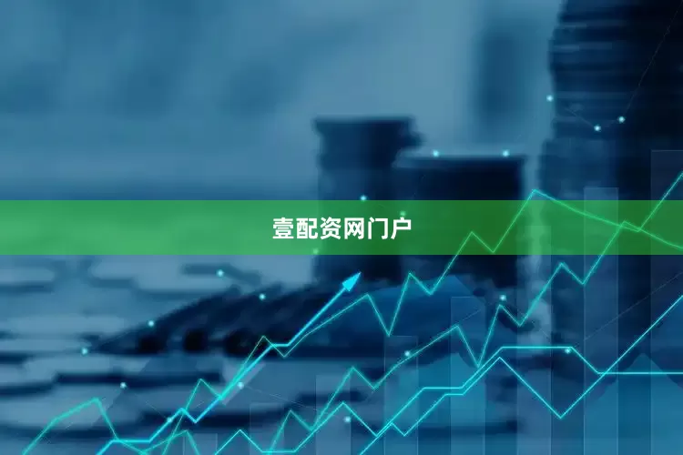 壹配资网门户