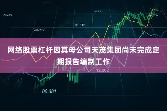 网络股票杠杆因其母公司天茂集团尚未完成定期报告编制工作