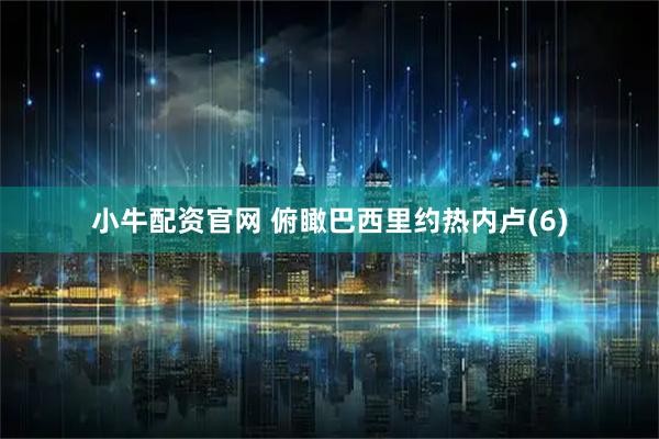 小牛配资官网 俯瞰巴西里约热内卢(6)