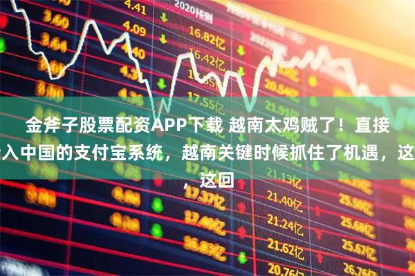 金斧子股票配资APP下载 越南太鸡贼了！直接接入中国的支付宝系统，越南关键时候抓住了机遇，这回